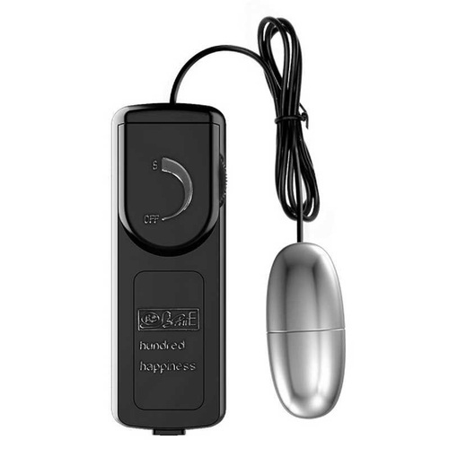 Vibrator Multi Speed Remote Silver Bullet Egg Sex Toy For Women Kegel Ball Massage Wand Vibrator
